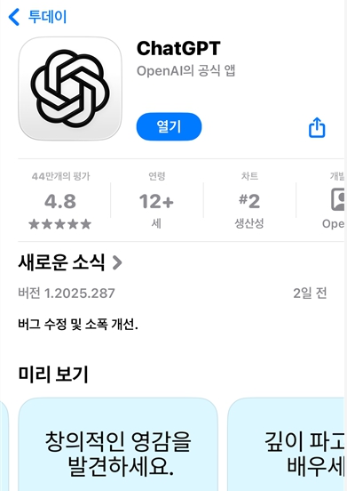 아이폰 사용자는 App Store 안드로이드 사용자는 Play Store에서 ChatGPT 또는 OpenAI를 검색한 후 공식 앱을 설치하면 된다
