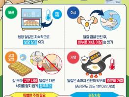 식품의약품안전처, 달걀 취급 시, 주의 요령! 기사 이미지